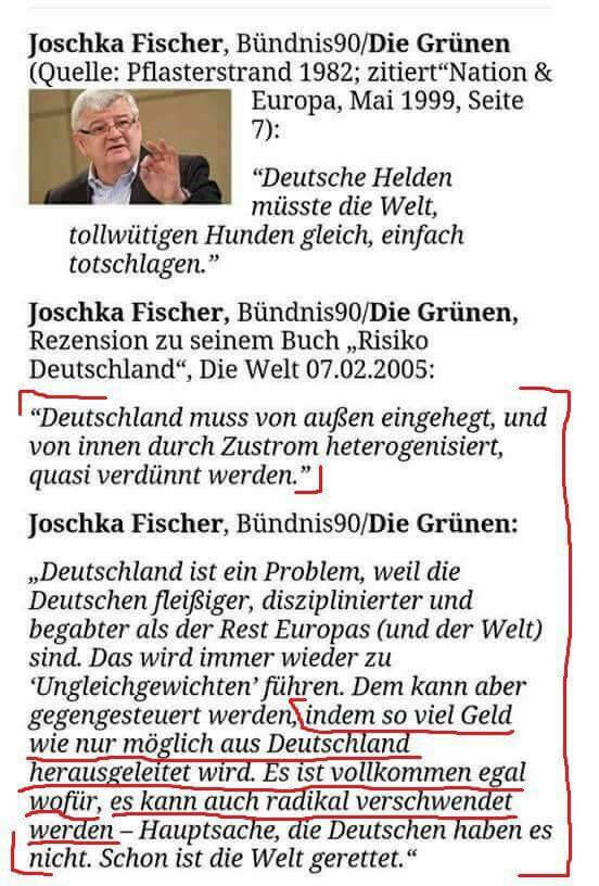 Joschka Fischer Risiko Deutschland