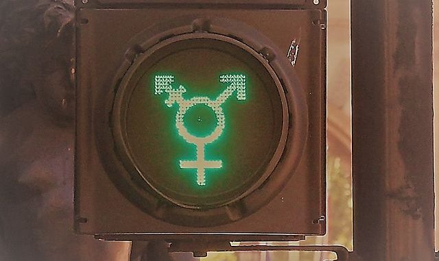 https://de.wikipedia.org/wiki/Gender-Symbol#/media/File:Diversit%C3%A4t_Ampel.JPG